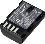 Аккумулятор Panasonic DMW-BLF19E