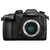 Фотоаппарат Panasonic Lumix GH5S Body